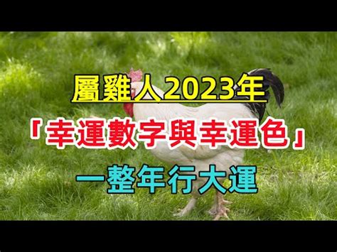 屬雞2023幸運色|2023兔年十二生肖幸運色公開！日本命理師揭密3